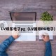 LV娱乐电子pg（LV国际PG电子）